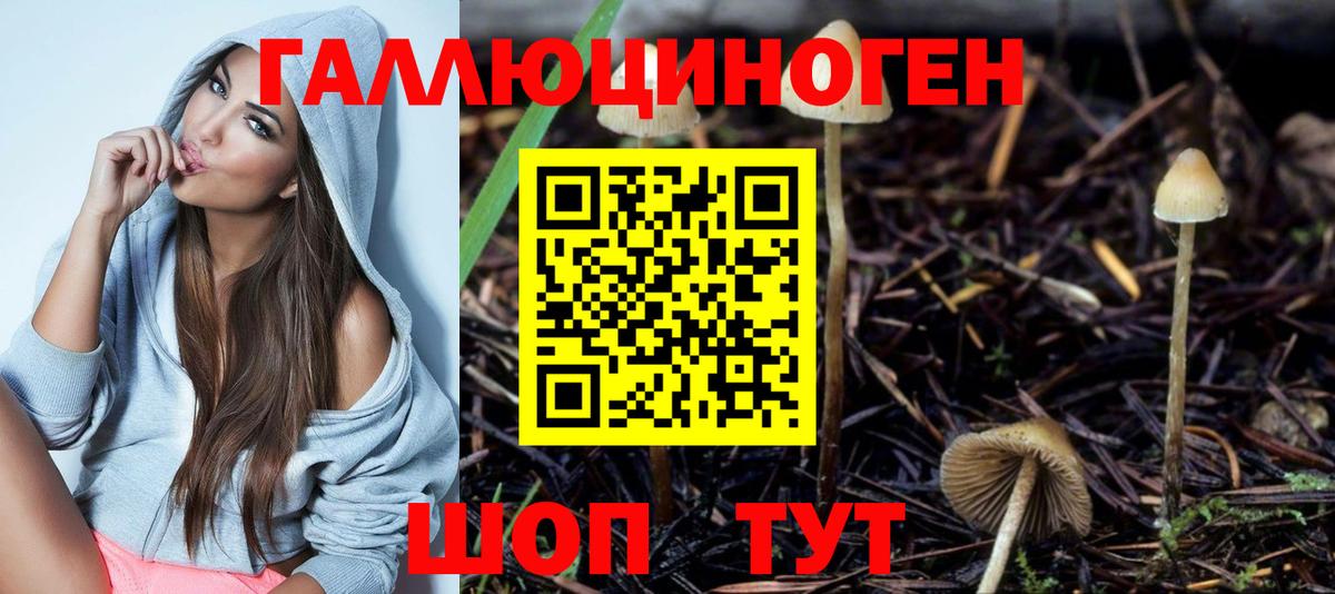 Псилоцибиновые грибы мицелий Борзя
