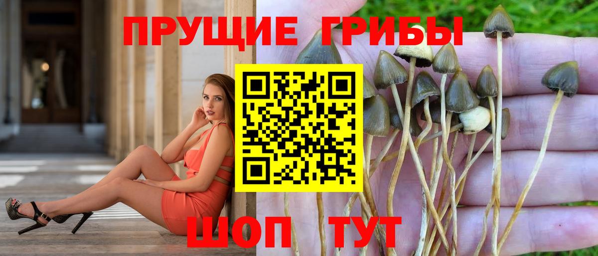 Борзя  дарнет шоп  Вход с VPN  Псилоцибиновые грибы ЛСД 