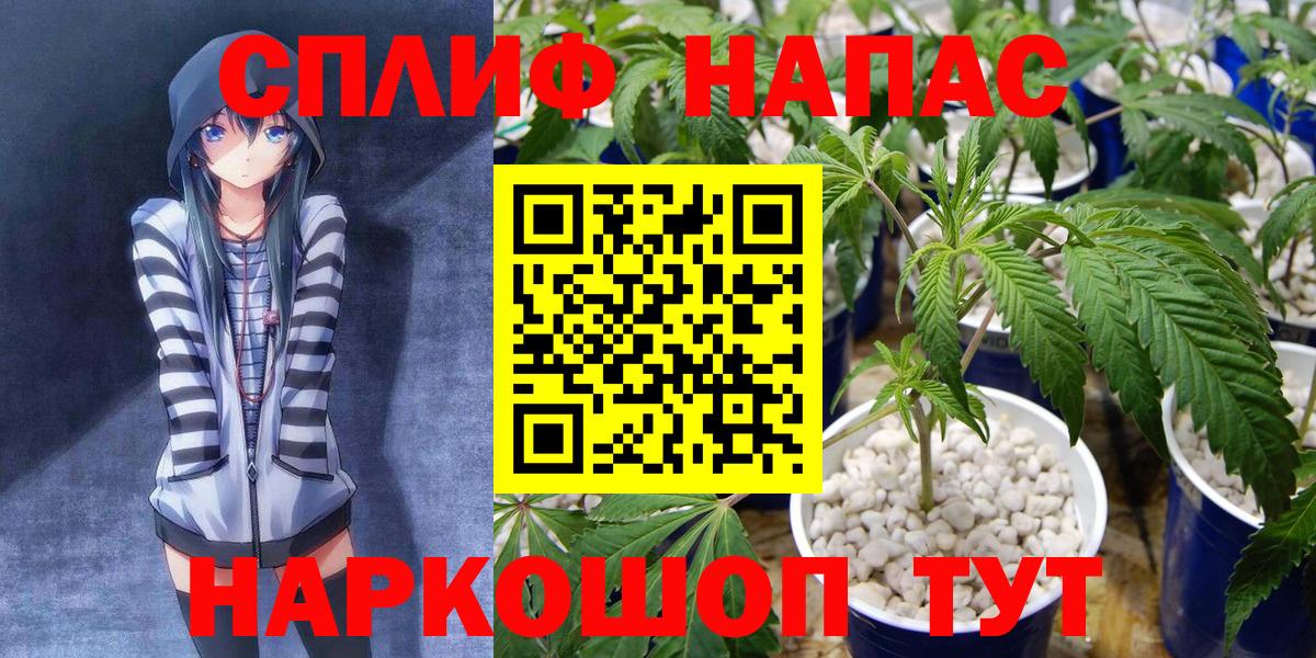 Борзя  Каннабис OG Kush  Бошки марихуана OG Kush  Вход с VPN 